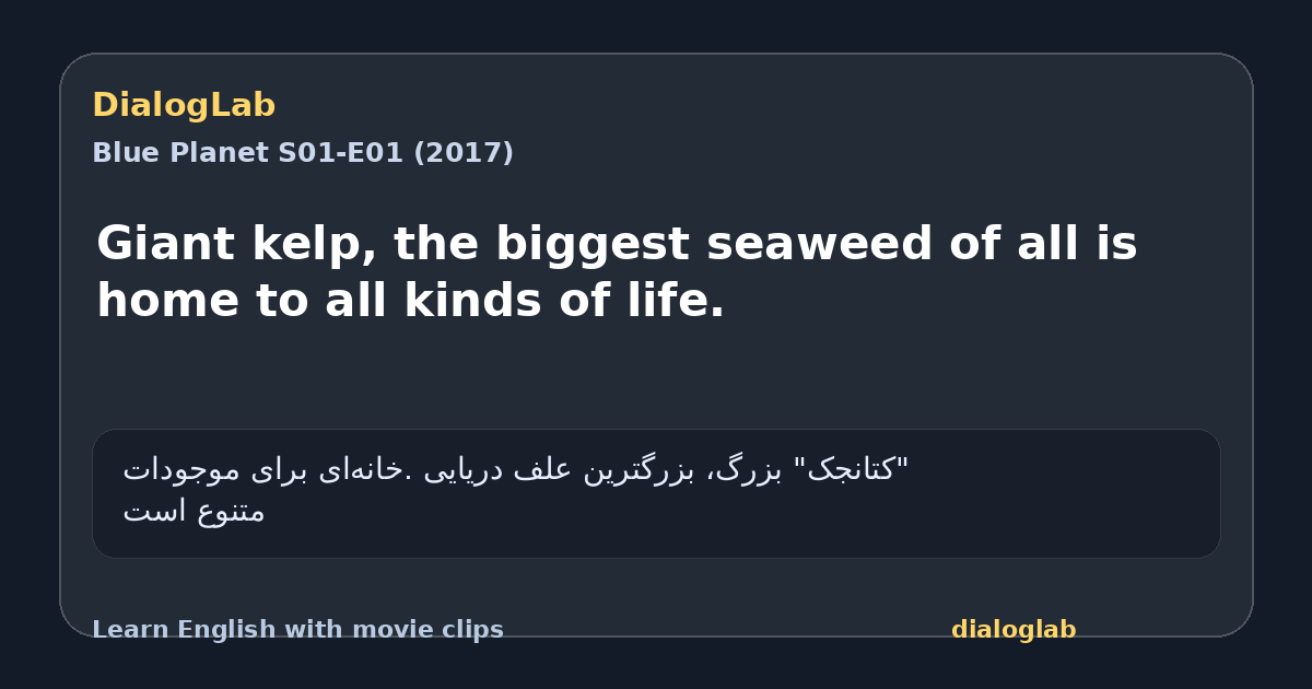 Share card for Giant kelp, the biggest seaweed of all is home to all kinds of life.