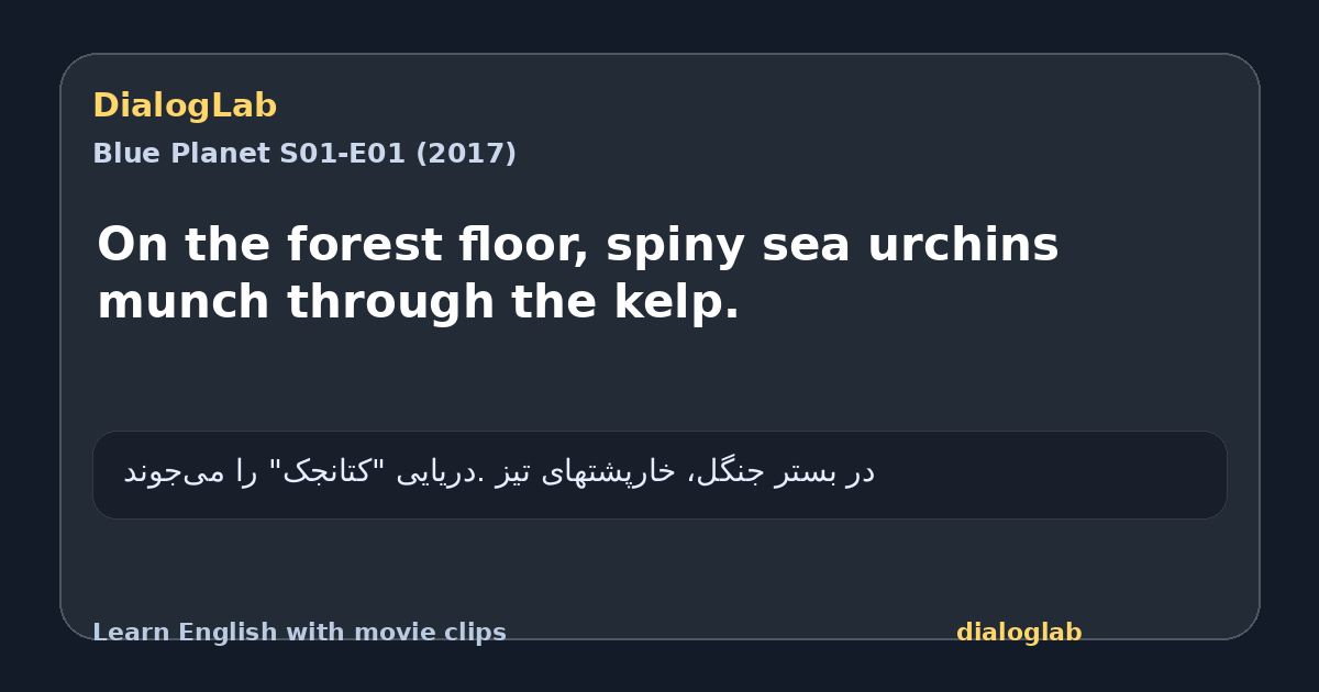 Share card for On the forest floor, spiny sea urchins munch through the kelp.