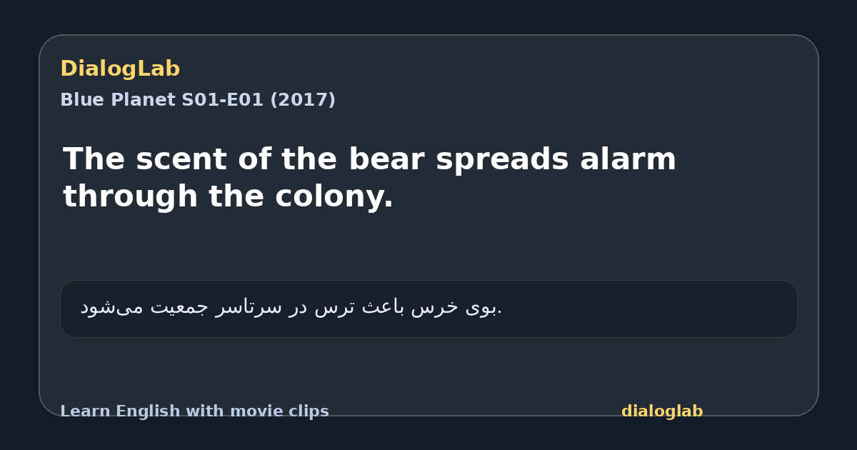 Share card for The scent of the bear spreads alarm through the colony.