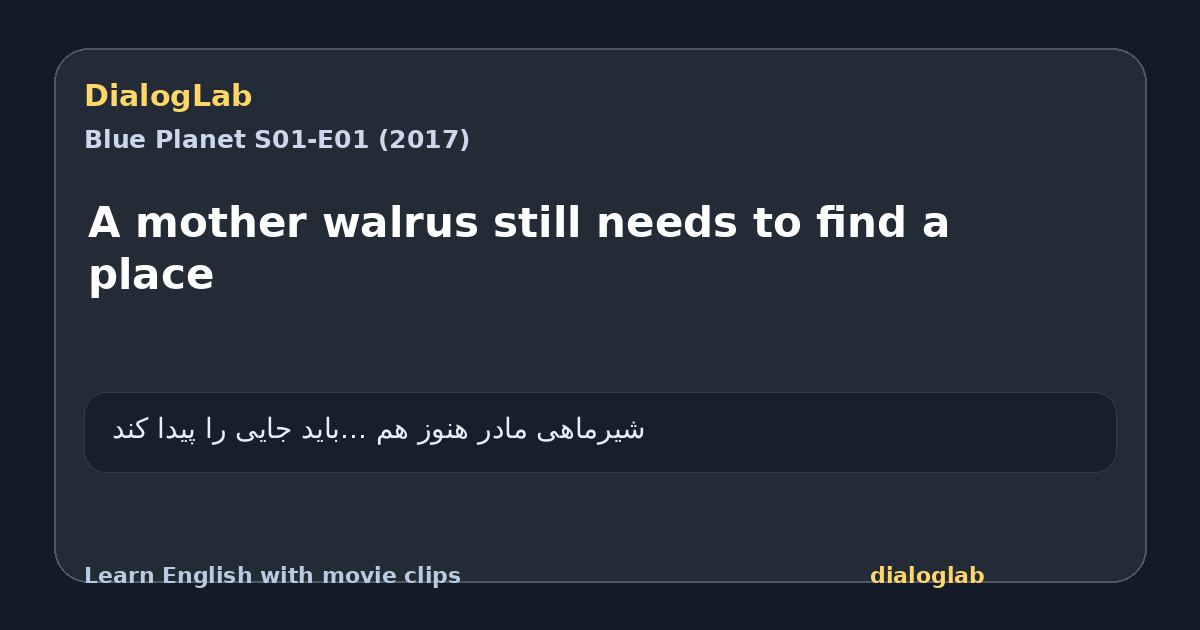 Share card for A mother walrus still needs to find a place