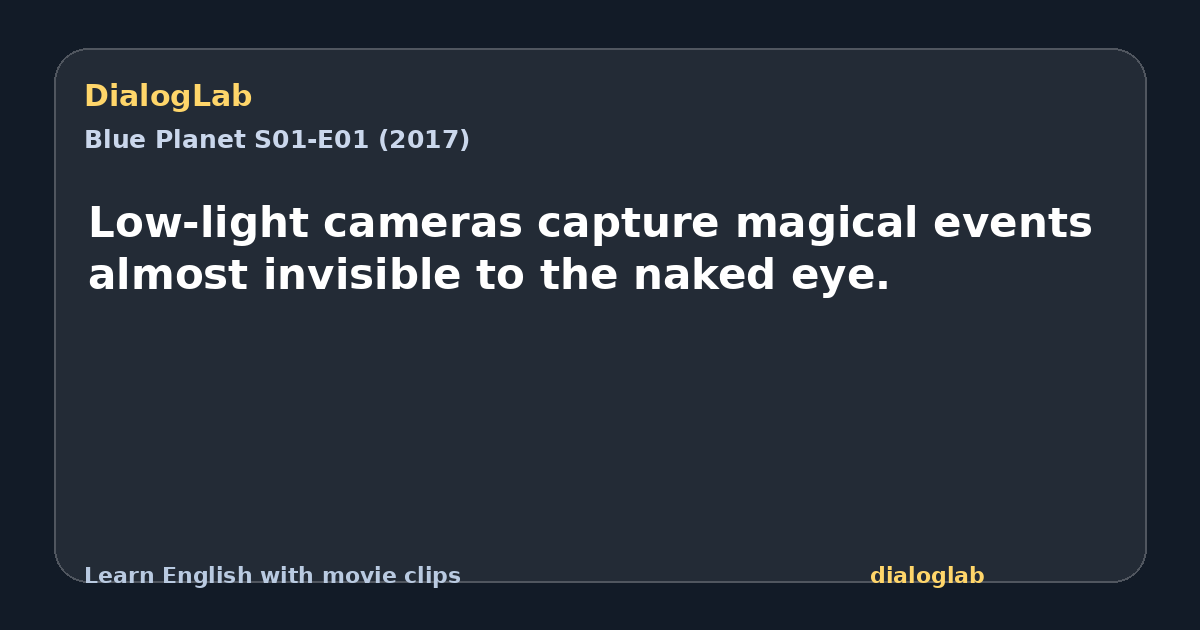 Share card for Low-light cameras capture magical events almost invisible to the naked eye.