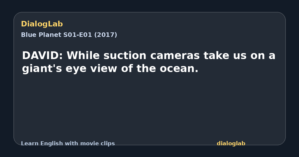 Share card for DAVID: While suction cameras take us on a giant's eye view of the ocean.
